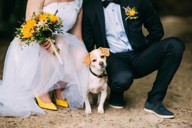 Weddings & Events